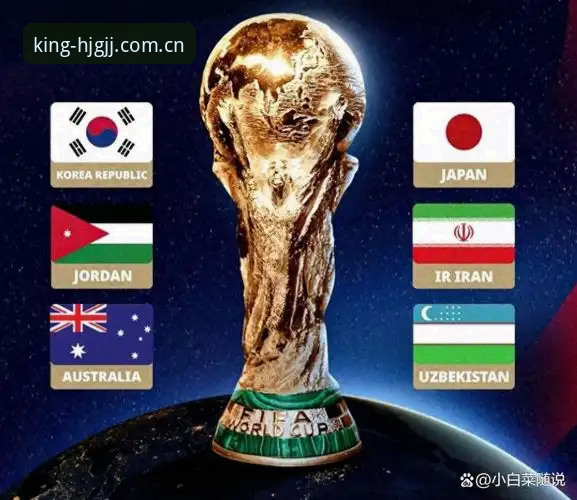 2030年世界杯扩军66队完整指南：中国男足入场时机与皇家国际平台观赛体验